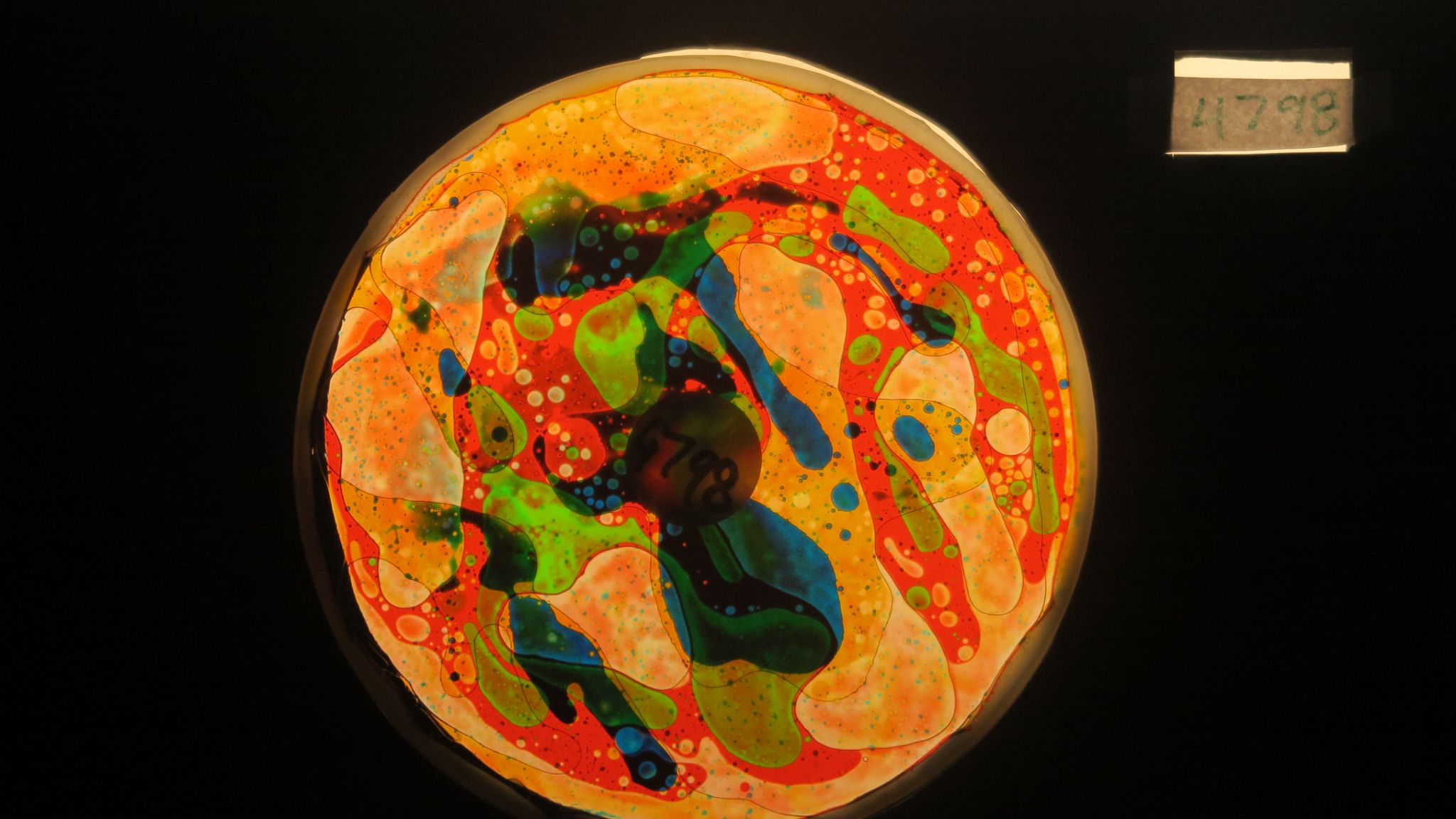 BV4798 bubble vision oil wheel